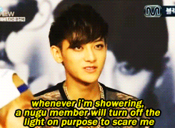oshzt:  life of the scaredy-cat tao among the assholes exo 