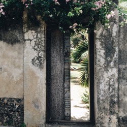 sandylamu:  Lamu Island, Kenya, Photo Sandy B 