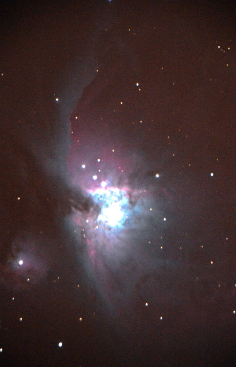 theastrokid: Where stars burst into creation, a stellar nursery.The Orion nebula is a furnace inside