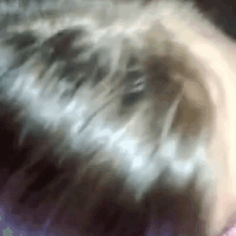 The Best Real Amateur Homemade Videos