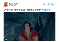 refinery29:  Good news for weather afficionados: Hurricane Gaston is the internet’s new favorite meme