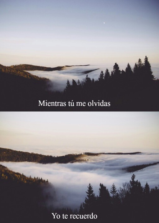 Soy Un Desastre