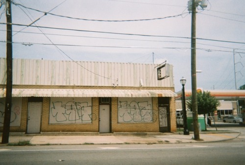 disposable camera blog 