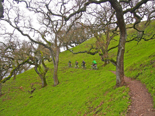 singularitas: And this one too… pedicabconfession: Dirt paceline on Flickr.