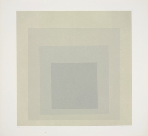 somedevil:  Josef Albers.Â from the series adult photos