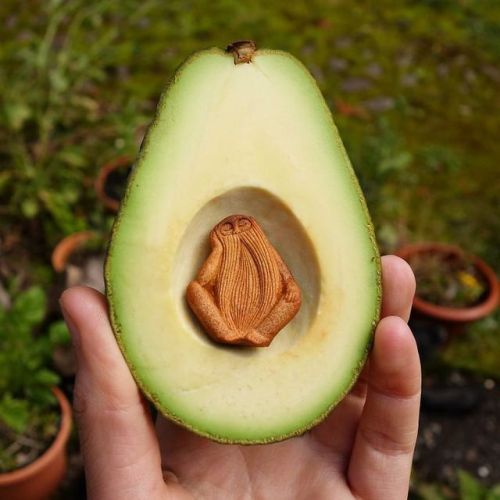 archiemcphee:  The Department of Extraordinary Upcycling was delighted to discover the work of Irish artist Jan Campbell who was struck by the inherent beauty of an avocado pit and began experimenting with scratching its surface and carving it. “Ever