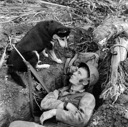 lex-for-lexington:  US Marine and a dog during the Battle of Guam, 1944.