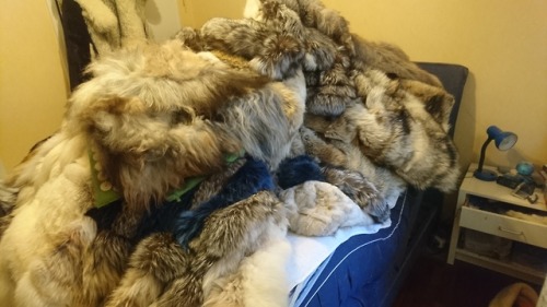 swedfur:Most of my furs and fur blankets are stored at my furrier for the summer. Today I had a real clean up in my bedroom. I notice that I still have lot of fur blankets and other fur pieces att home, and that is not all. At my balkony there is two