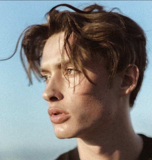YOUNG REMUS LUPIN AS A HYBRID, HALF WOLF AND HALF VAMPIRE