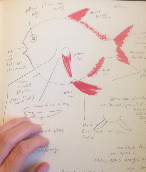 I was looking through an old sketchbook last night and found my designs for the Opah from #plushthes