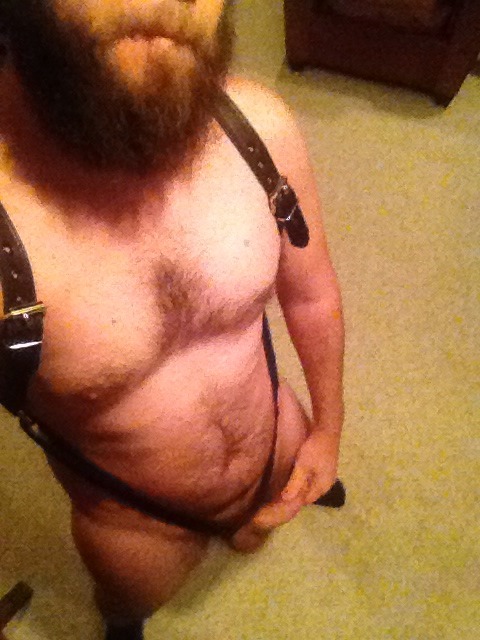 spartacubs:  garbear73:  oh0cub:  showing off my harness for papa  Lucky papa!  