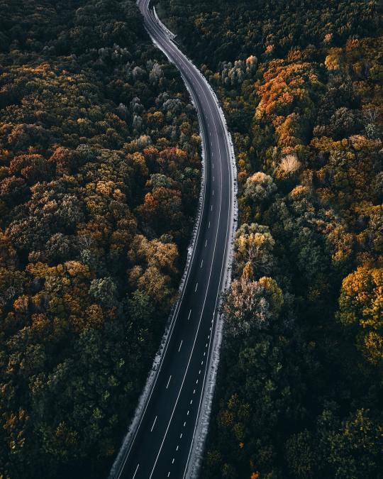My adventure through the forest