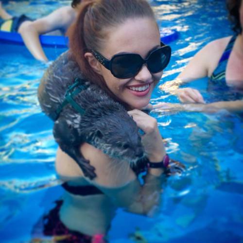 This otterly adorable creature was so much fun to swim with #otter swim #ottersofinstagram #otter #a