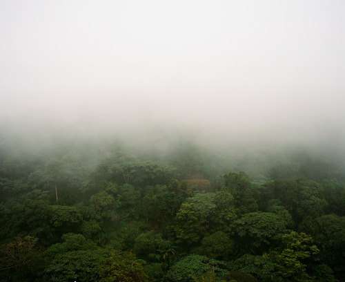 brianflaherty: Baguio City, Philippines, 2014