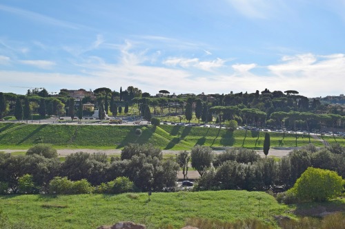 capitoline museums