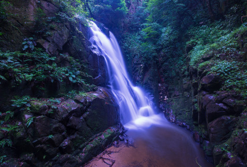 Fairy Fall by Yohsuke Ikebuchi