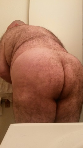 housebearsofatlanta