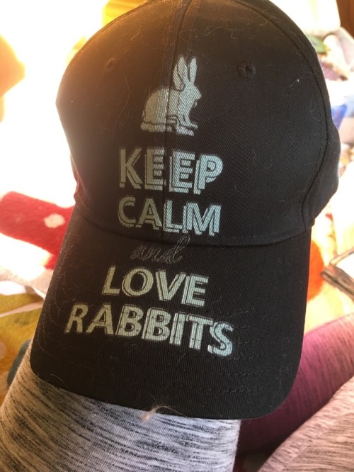 kibbles-undbitches:I don’t usually wear baseball hats but I think I am now obligated to because this