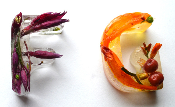 kjevangelista:  Botanical Typography Made with Frozen Flowers in Ice by Petra Blahova