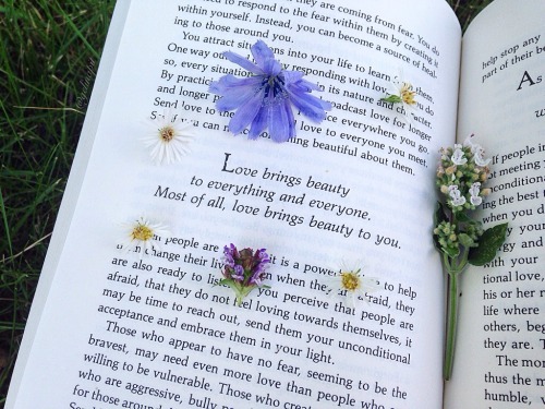 floralwaterwitch: ~ reading in the beautiful sunshine surrounded by nature ✨