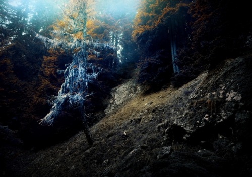 phoenixfeatherxlight: ❄️ I hope you enjoy this mysterious dreamscape ~©Andrea Effulge •&nb