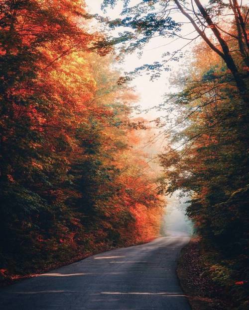 landscape-photo-graphy:Photographer Sanjay Chauhan Captures the Beauty of Canada’s Fall F