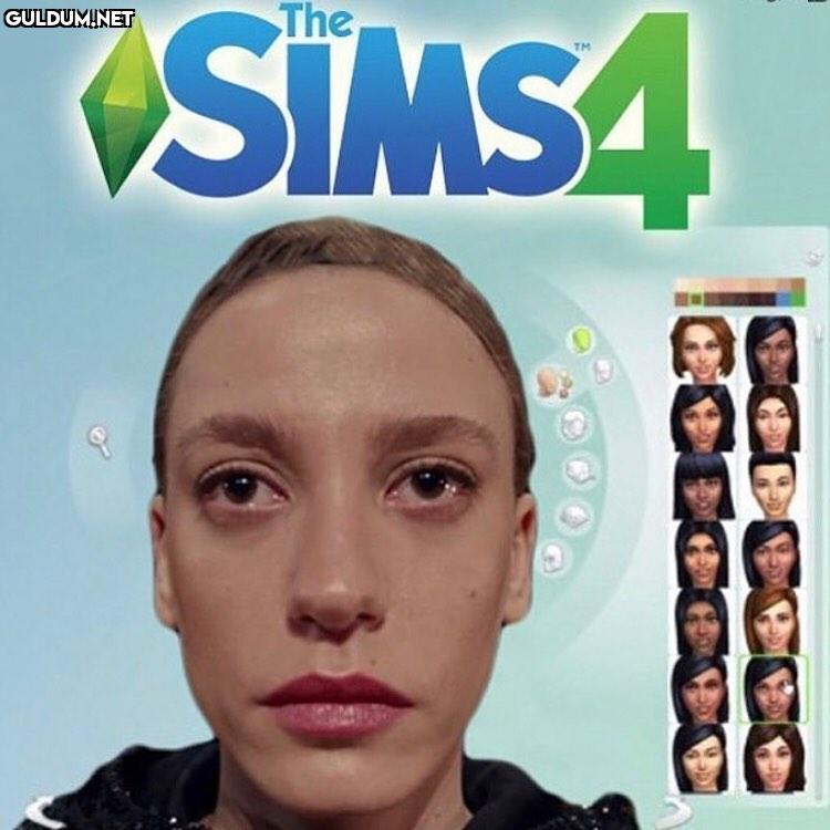 The
SIMS4