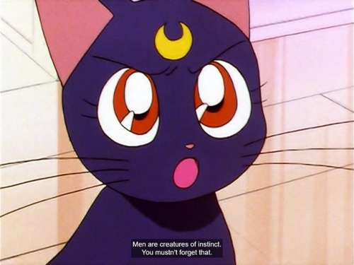 Luna said it, not me! XDAlso, I love how Luna is like an overprotective mother to Usagi in this epis