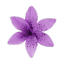 l4ngs