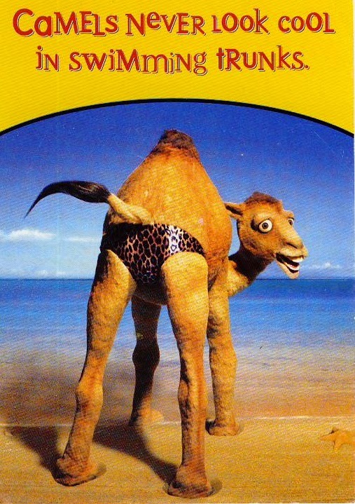 So i found a Mexican (i think?) Camel ad campaign that was really cute. I wish there