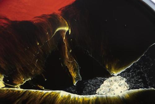 The Petri Dish Project - Primitive Culture Series / By J.D Doria / Photography Shaw Gadi Raz /  