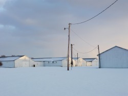 criwes: Cold Storage (2015) by Josef Hoflehner