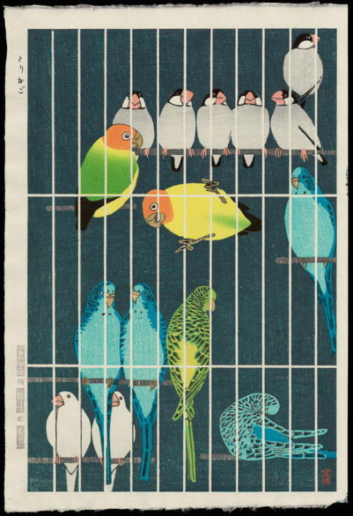 forevernoon:KASAMATSU SHIRO Bird Cage [1957]