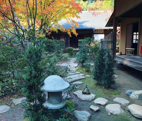 大徳寺 高桐院庭園 [ 京都市北区 ] Daitokuji Kotoin Temple Garden, Kyoto の写真・記事を更新しました。 ーー #細川三斎 ( #細川忠興 )が師・千利休の邸宅