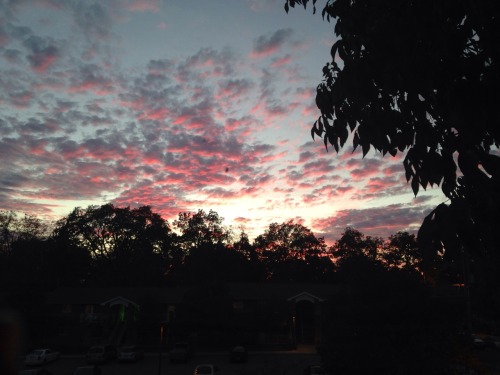 I've Been So Obsessed W/ The Sky Lately. Like Look At How Beautiful It Is.