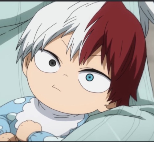 Touya And Fuyumi Are All Lashes And Doe Eyes While Natsuo And Shouto Are Football Headed Stewie Griffins