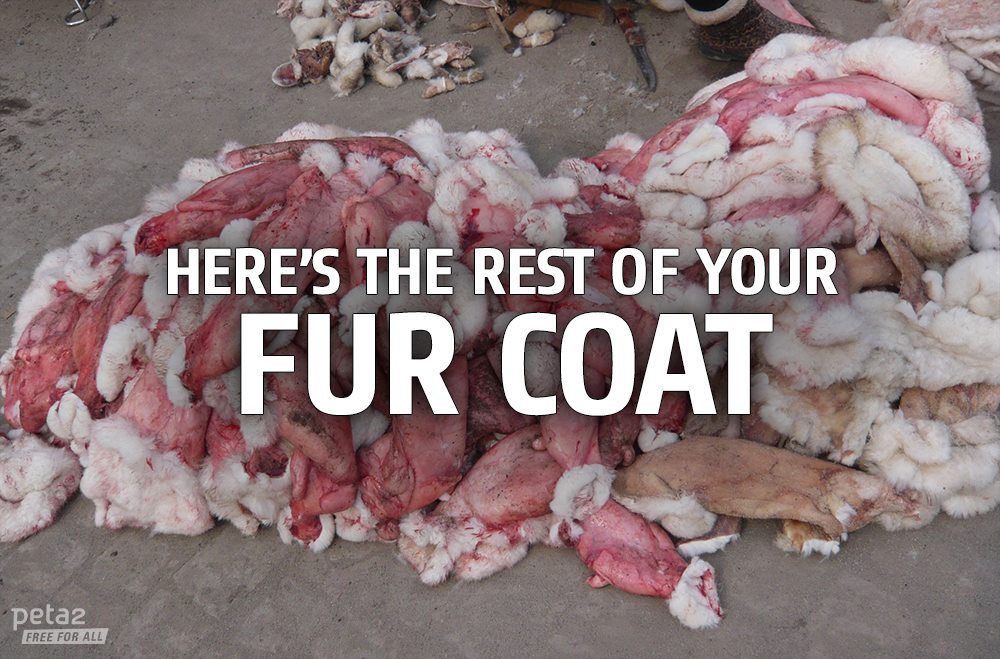 peta2:  EVERY fur coat, glove, or boot was violently stolen from its original owner.