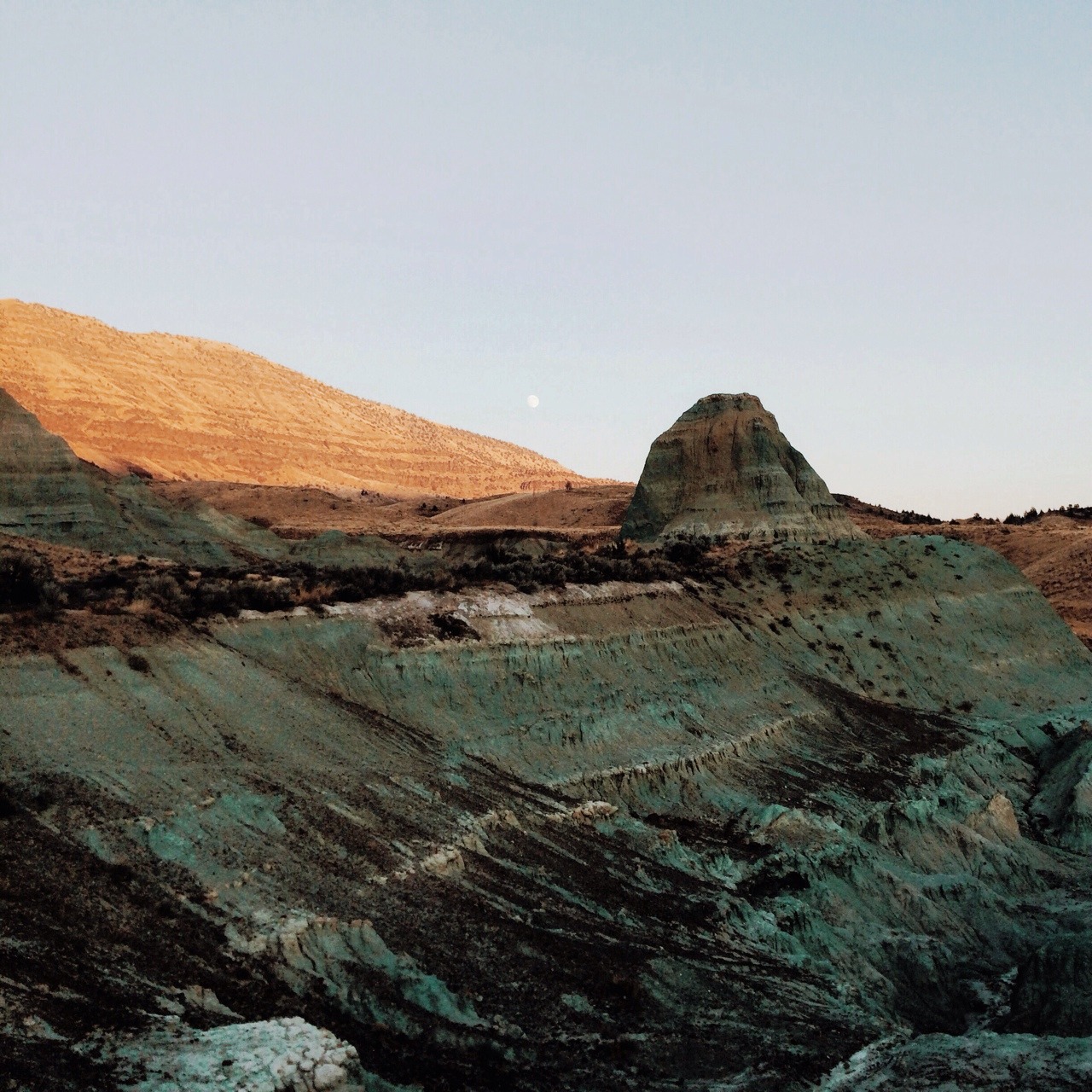 eartheld:  thelocalwanderer:  Our local tip for visiting Oregon’s Painted Hills?