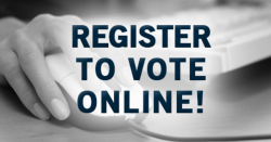 29 states + DC offer online voter registration.