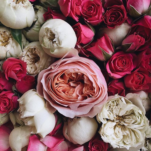 floralls:    by anna remarchuk    