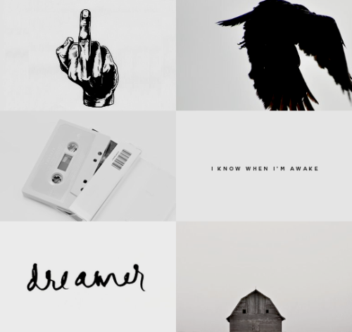 fionnsykes: TOP 20 CHARACTERS AS VOTED BY MY FOLLOWERS ➝ #4, ronan lynch “i know when i’m awake and 
