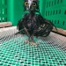 biglawbear:assmart:assmart:please tell me you ppl have seen wet owls.look at these