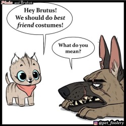 catchymemes:  New Pixie and Brutus comic @pet_foolery