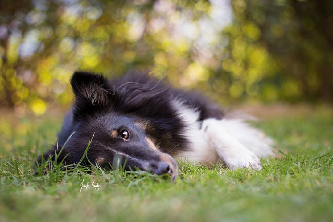 hadissima:  Garden time is the best! Except when it’s cold and rainy like today,