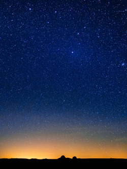 brutalgeneration:  Peace (by Bryce Bradford)