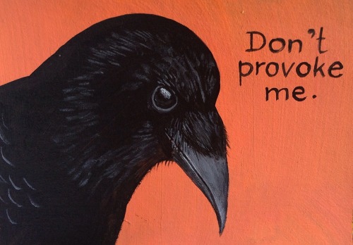 Dangerous crow II, acrylic painting on cardboard