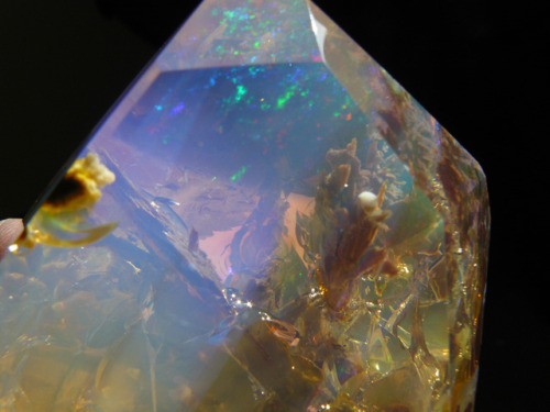 opticallyaroused: Crazy Beautiful Opal