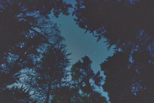 can-u-nott-pls:  I follow back similar blogs ☾ 