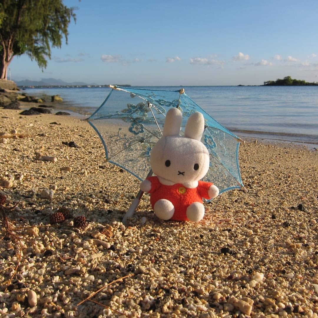 howareubread:http://instagram.com/adventurabbit