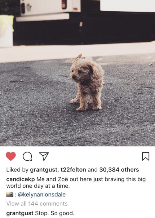 backtothestart02: Grant commenting on Candice’s pic. Be still my beating heart. ❤️ Idc if it’s to gu